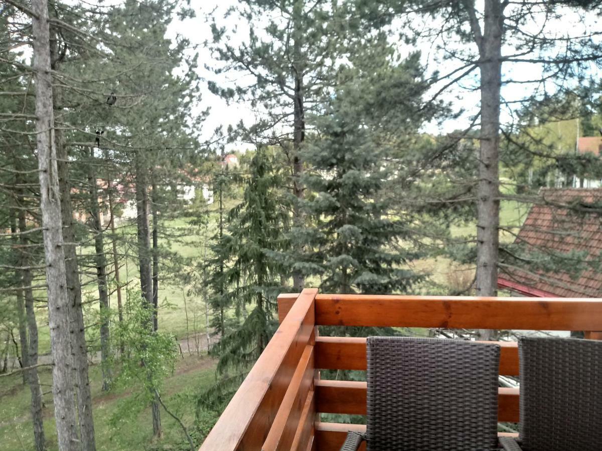 Apartman Nana Svetogorska 19 ,Stan 17 Zlatibor Exterior photo
