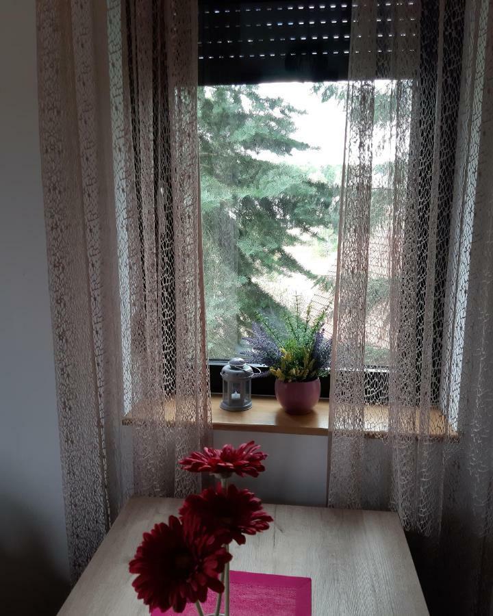 Apartman Nana Svetogorska 19 ,Stan 17 Zlatibor Exterior photo
